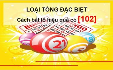 Loại tổng đặc biệt hôm nay – Cách bắt lô hiệu quả có [102]