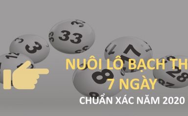 nuôi lô khung 7 ngày hiệu quả lãi cao nhất